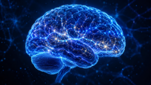 brain while you sleep illustrated with neural pathways and sleep cycles